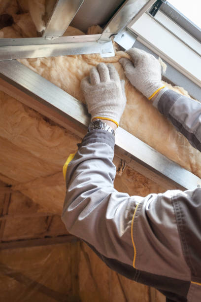Best Blown-in Insulation in Powderly, TX
