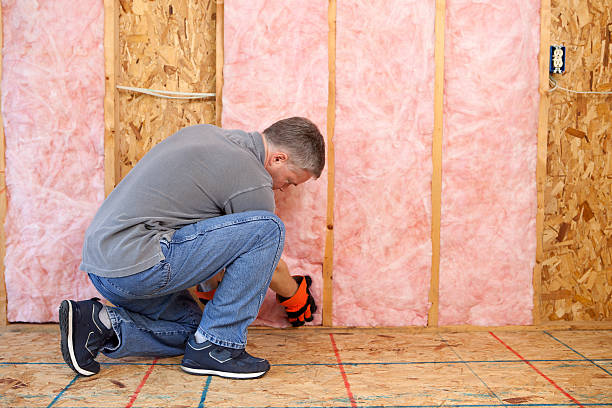 Best Commercial Insulation in Powderly, TX